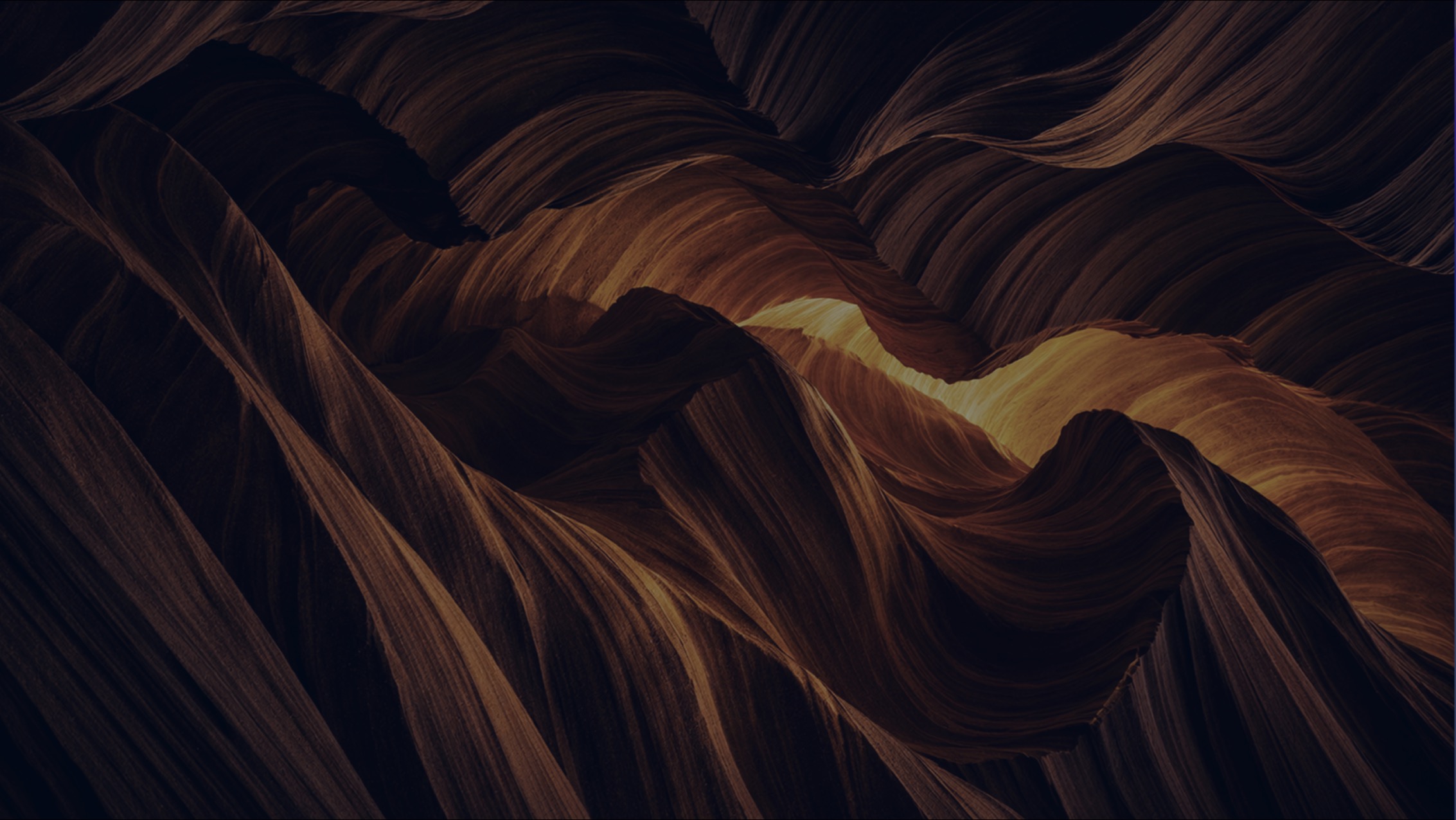 Banner Premium 1